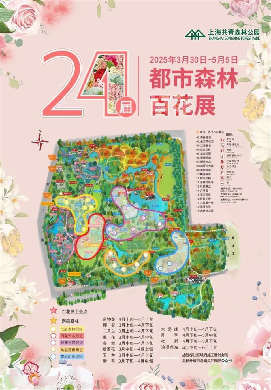 踏青赏花正当时!上海各区春日花事卷起来了