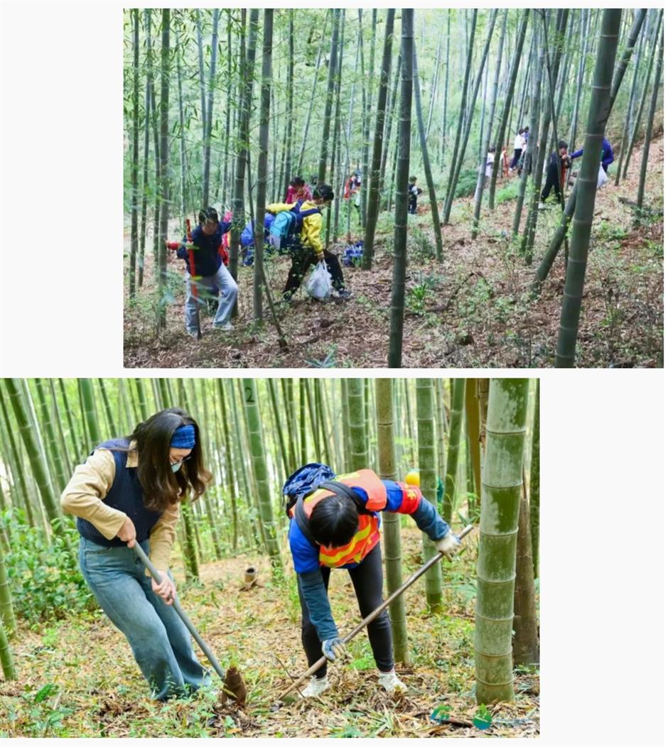 挖挖挖!三大「野區」限時開放,快來「打野」