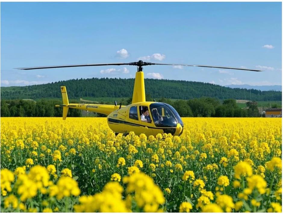 上海這個春日限定秘境藏不住了!坐在花海裡品茶、喝咖啡