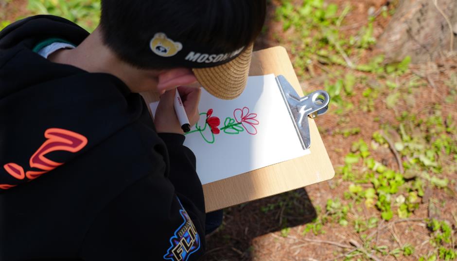 崇明花朝节三条主题路线,带你畅游春日花海!