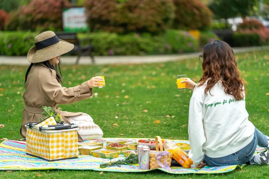 崇明花朝节三条主题路线,带你畅游春日花海!