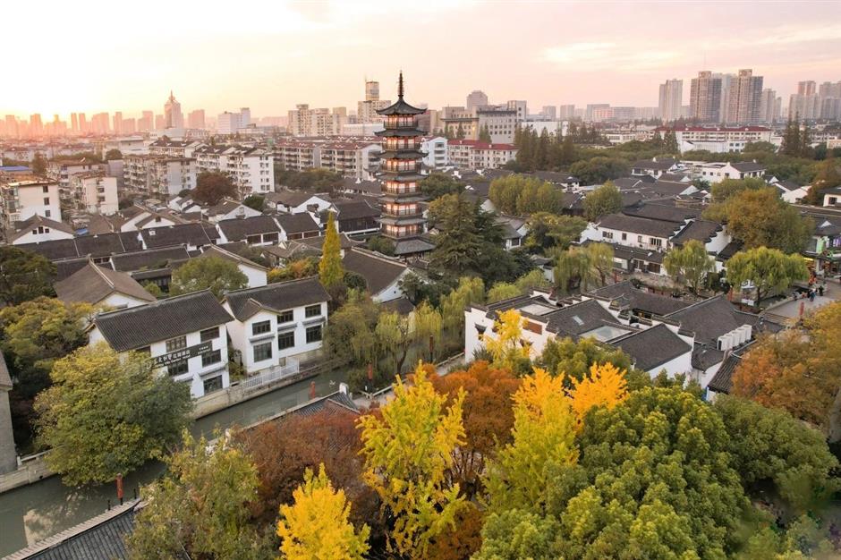 一文解锁!紫藤季citywalk宝藏打卡地