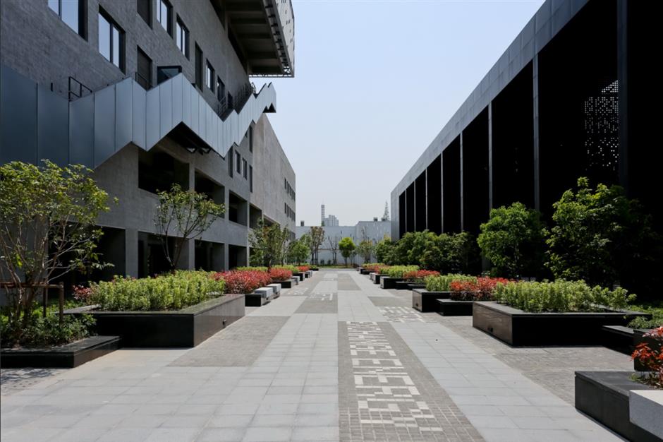 一文解锁!紫藤季citywalk宝藏打卡地