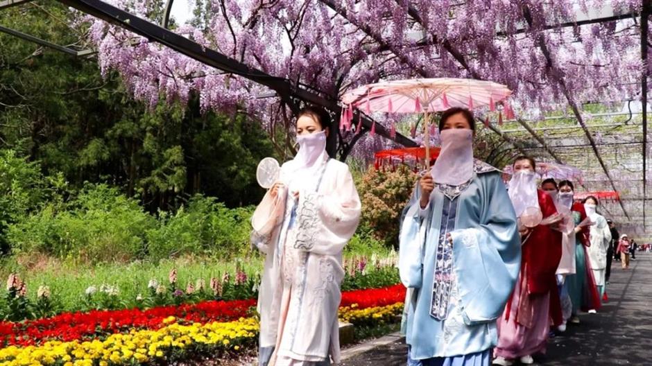 崇明花朝节三条主题路线,带你畅游春日花海!