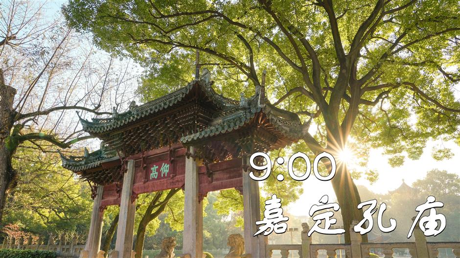 一文解锁!紫藤季citywalk宝藏打卡地