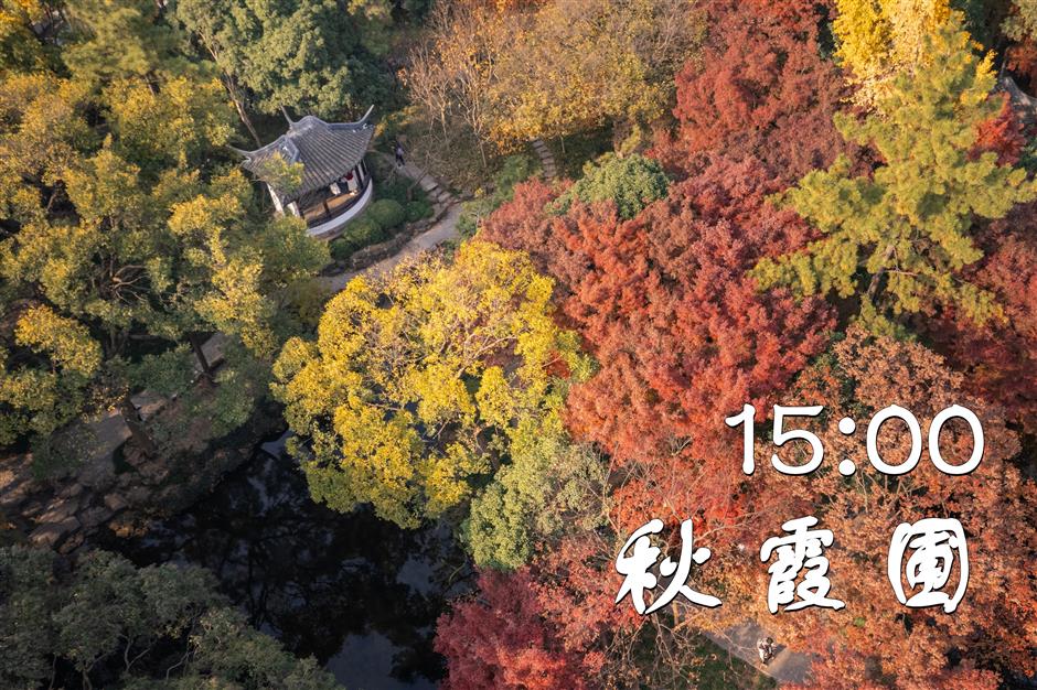 一文解锁!紫藤季citywalk宝藏打卡地