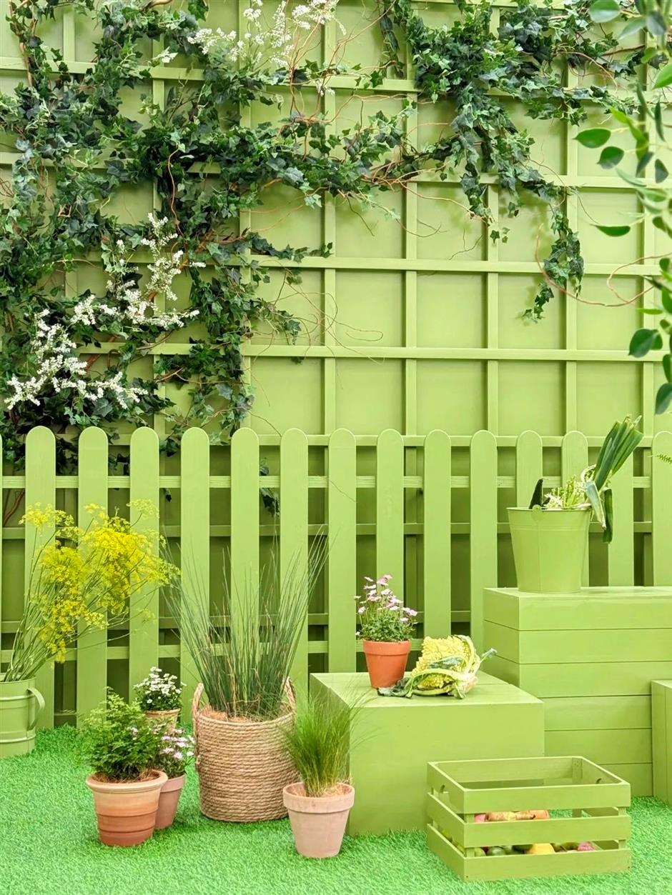 中山公园里的绿野花廊,你去过吗?