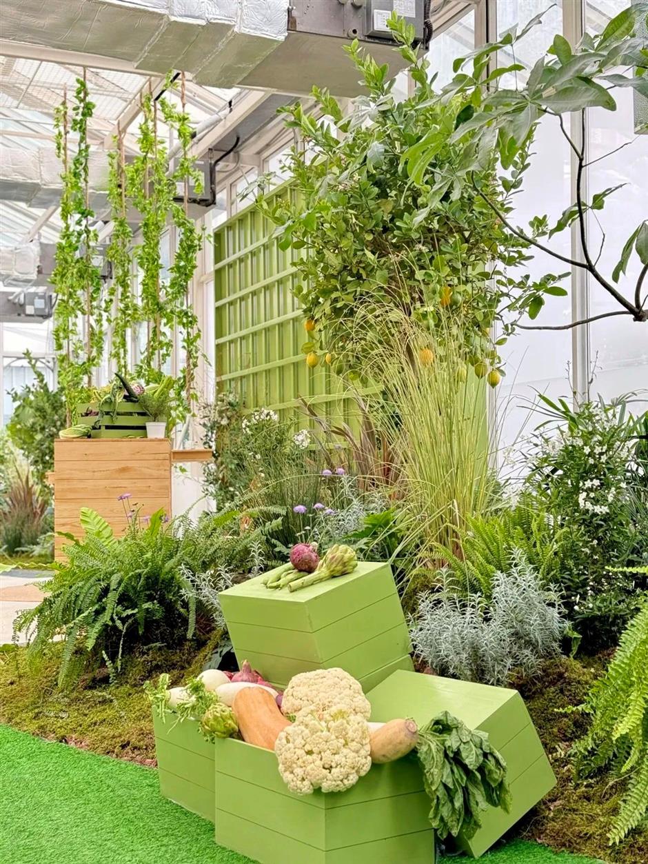 中山公园里的绿野花廊,你去过吗?