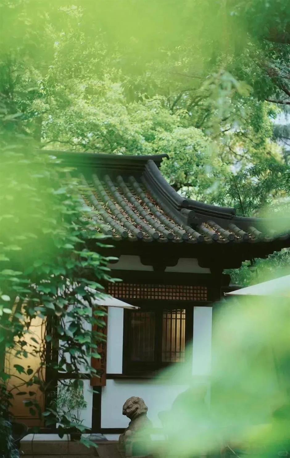 免费开放!上海市中心这处宝藏园林太美太好逛