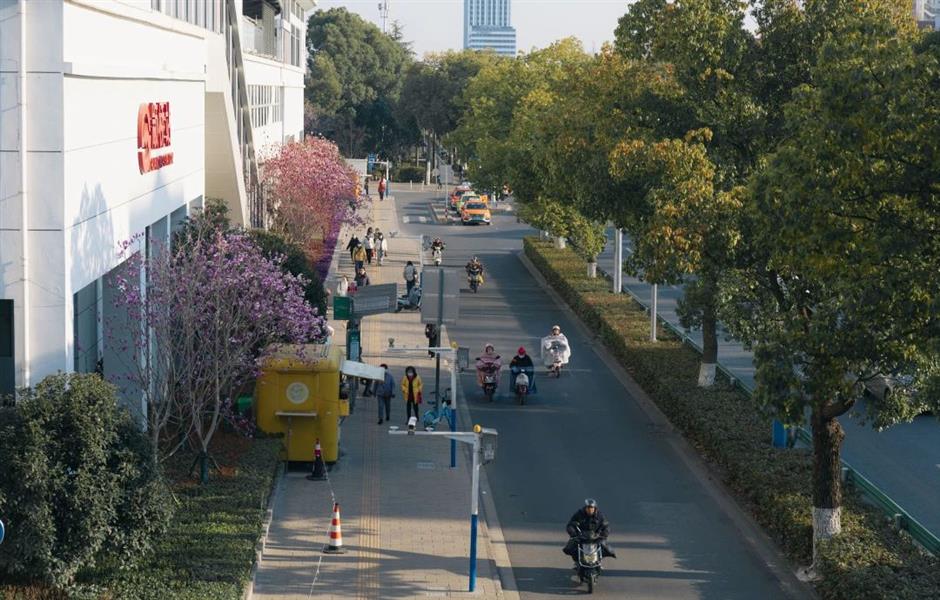 花開如瀑,
閔行這些小眾公園人少景美出片率100%!