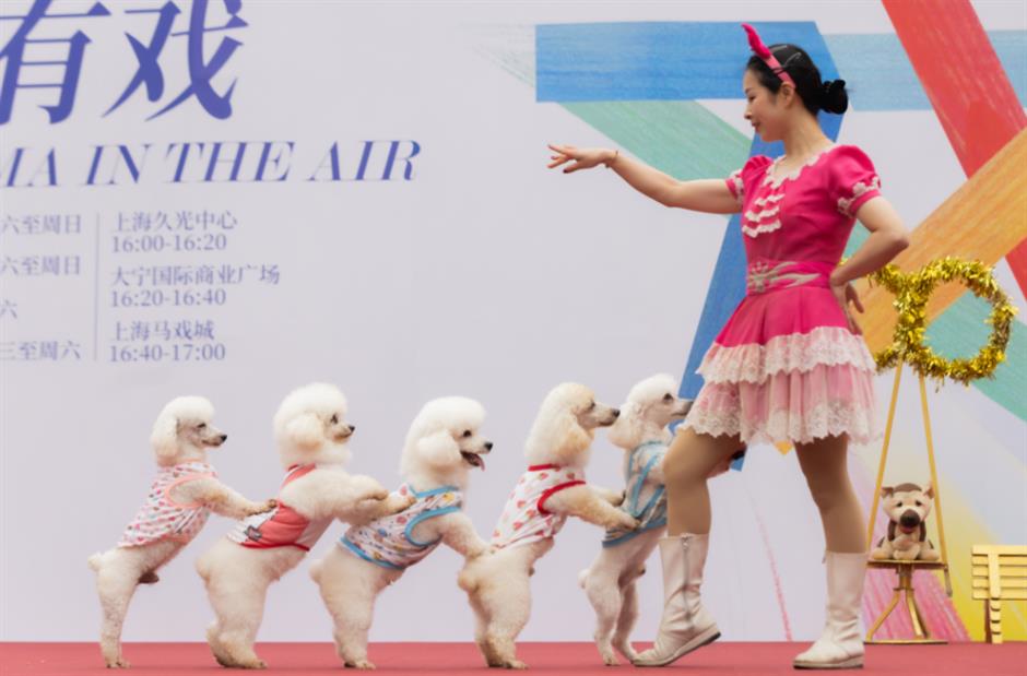 三大板块、84场演出,静安戏剧节精彩提前剧透