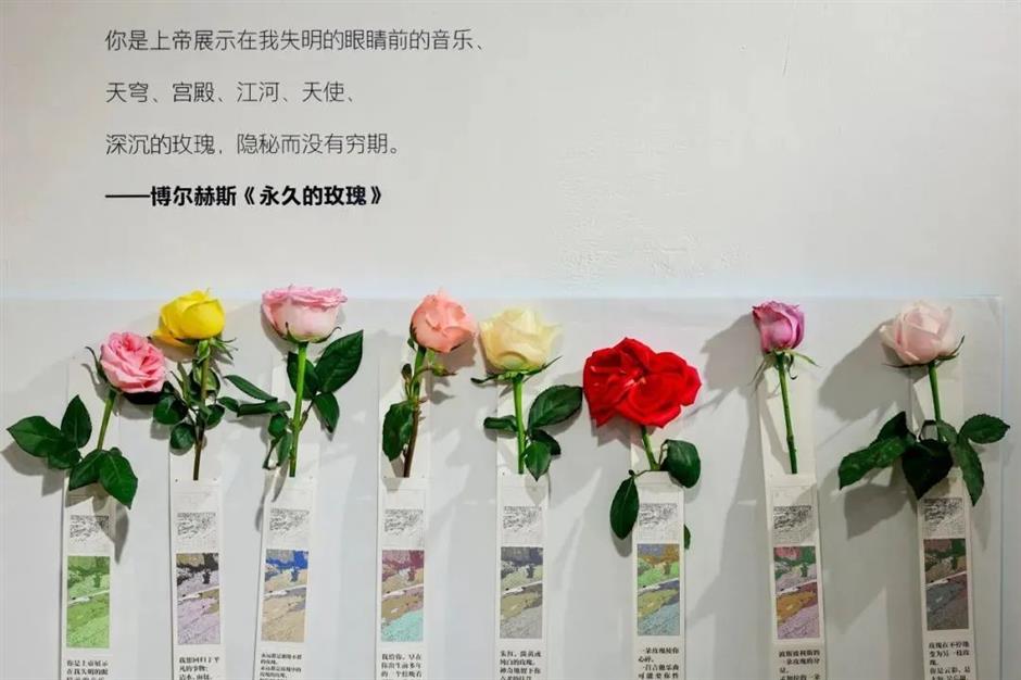 莫奈花园现实版,百场活动提前剧透!