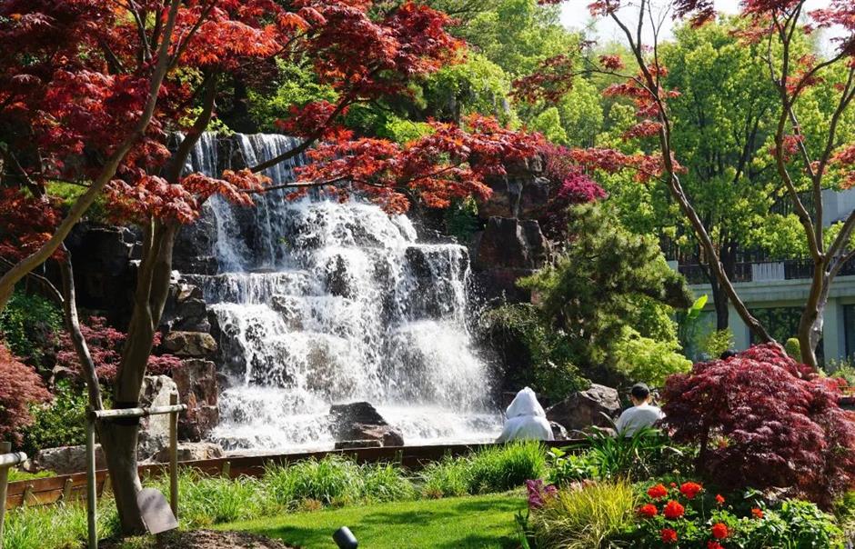 免费打卡瀑布仙境、杜鹃花海……上海市中心的神秘山谷美翻了!