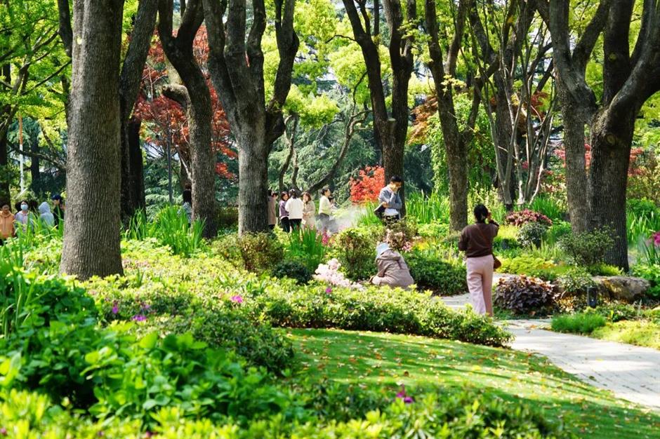 免费打卡瀑布仙境、杜鹃花海……上海市中心的神秘山谷美翻了!