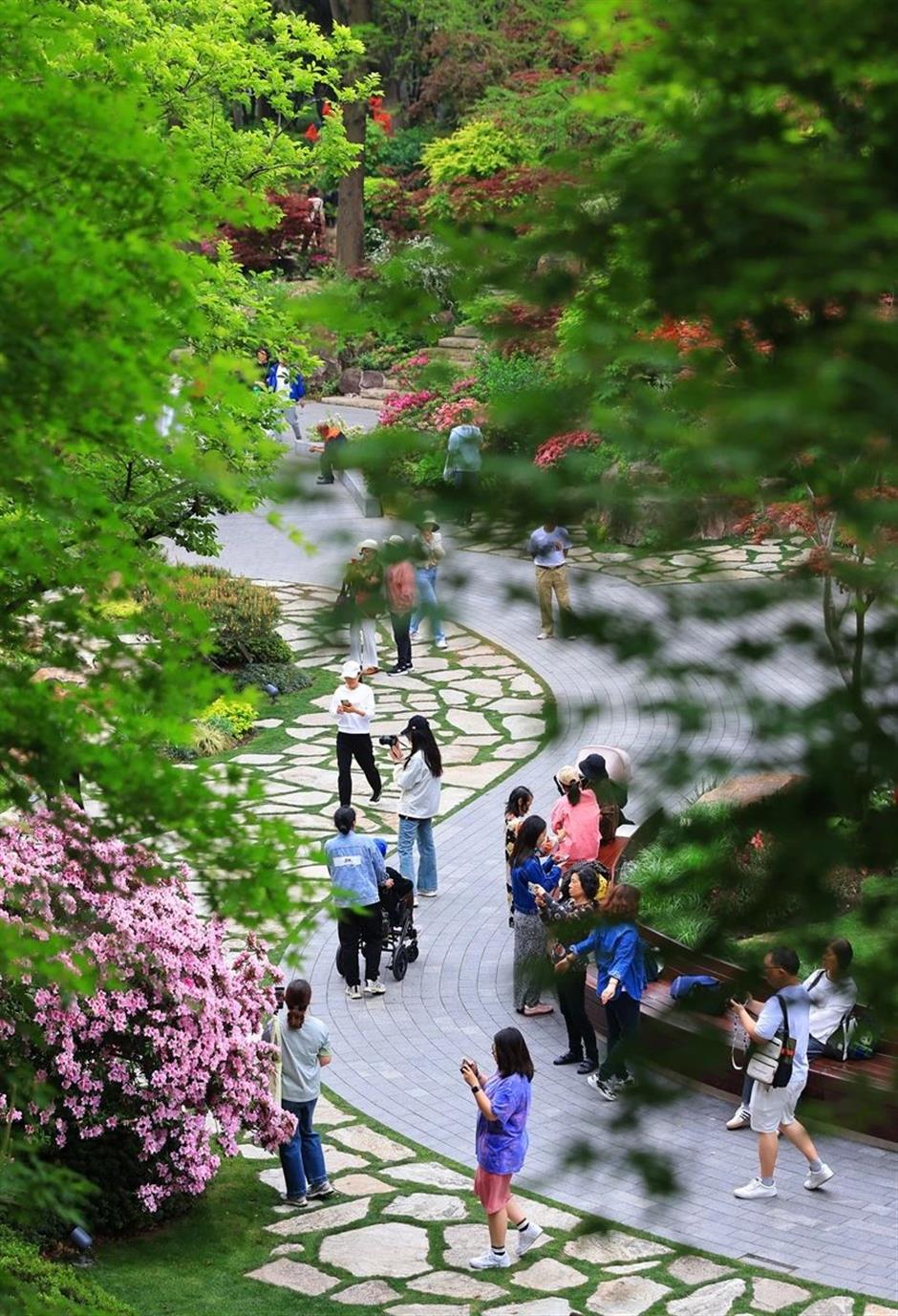 免费打卡瀑布仙境、杜鹃花海……上海市中心的神秘山谷美翻了!