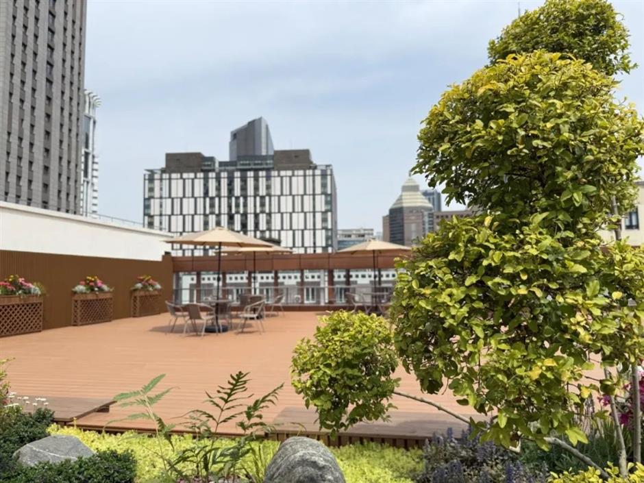 就在明日!全国单体最大!上海近70岁的老书店焕新回归