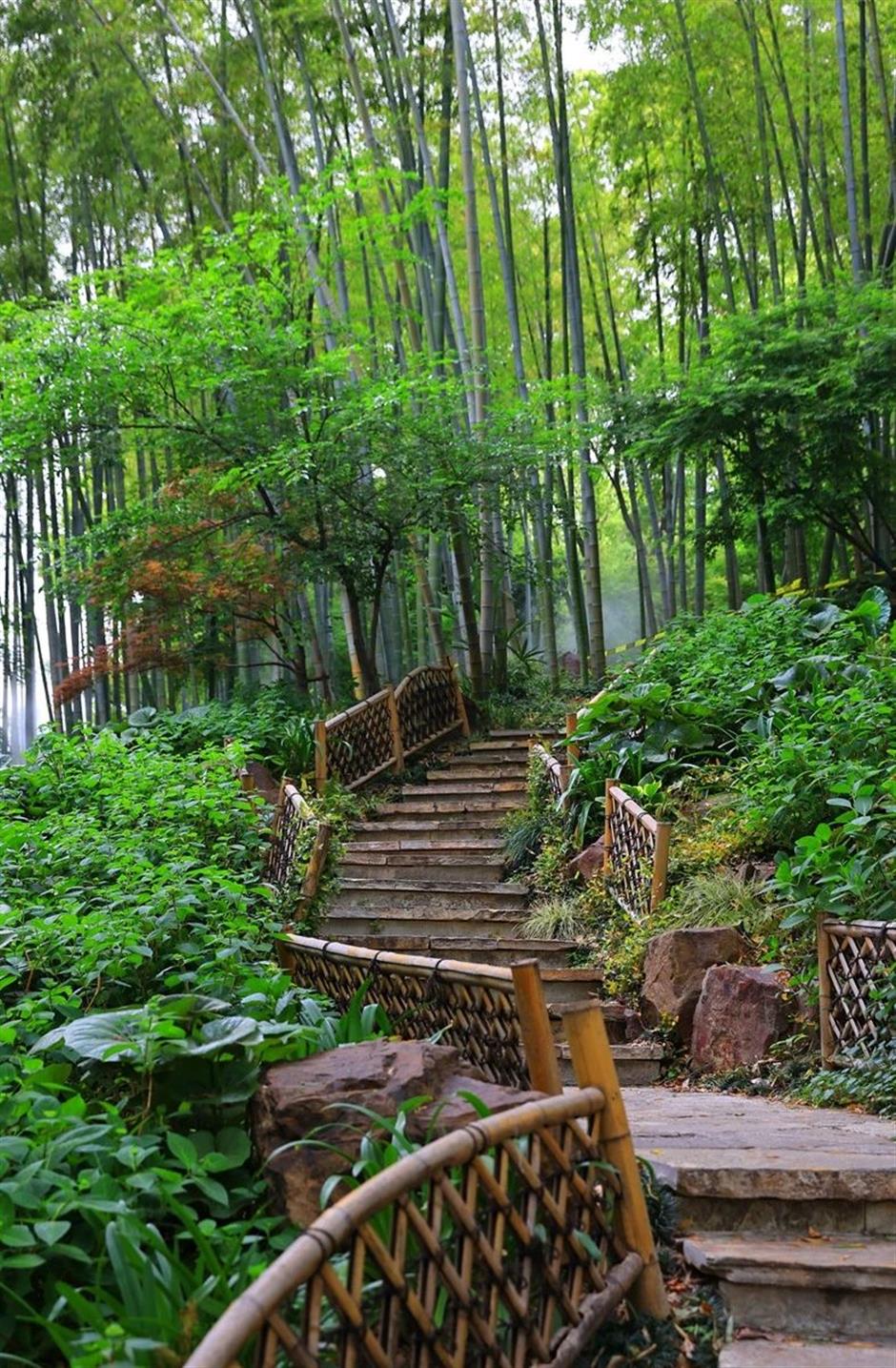 免费打卡瀑布仙境、杜鹃花海……上海市中心的神秘山谷美翻了!