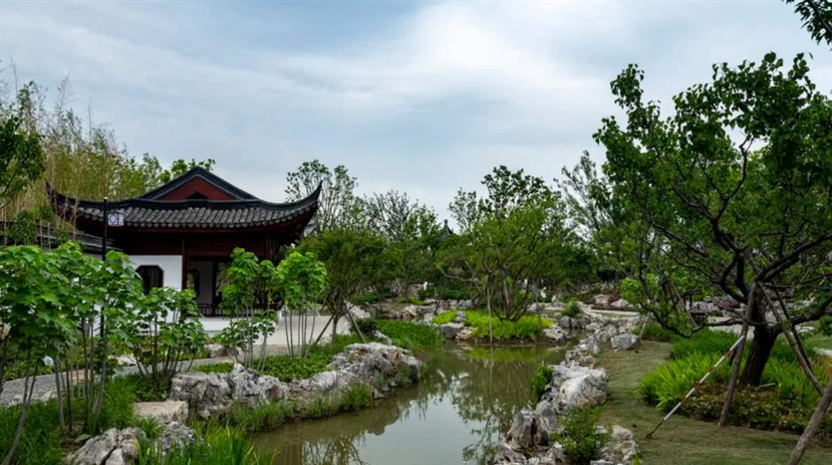 春色最浓处, 沪上