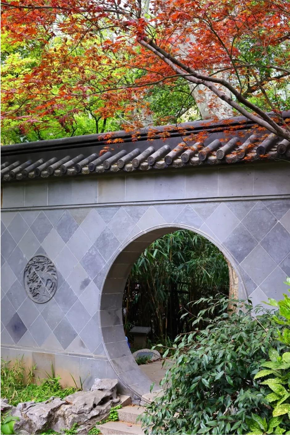 春色最浓处, 沪上