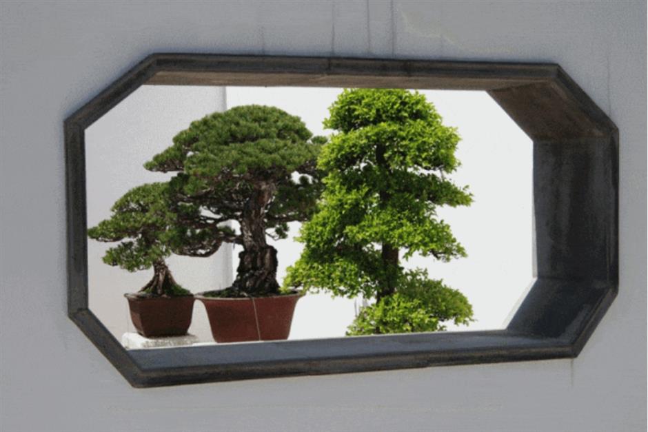 春色最浓处, 沪上