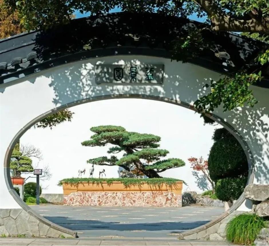 春色最浓处, 沪上