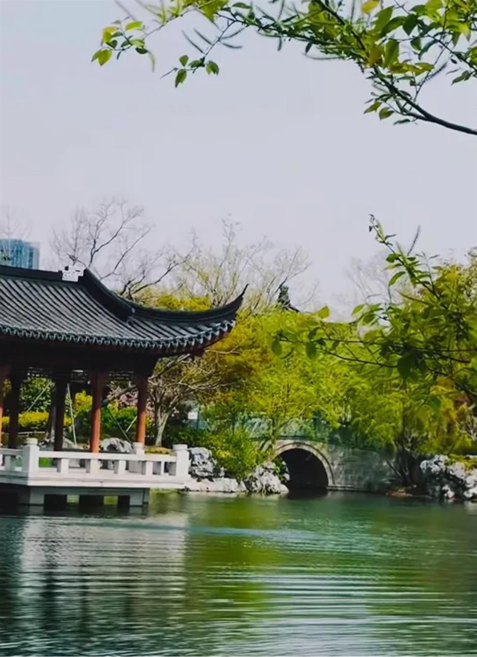 春色最浓处, 沪上