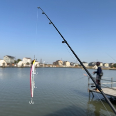 Pujiang emerges as angler's paradise: Lure, cast, catch!