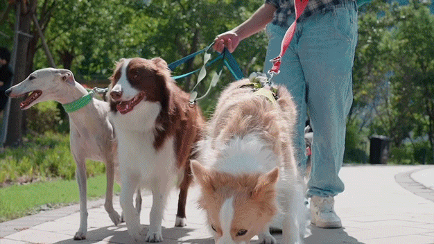 Where to take your pet this May Day holiday?