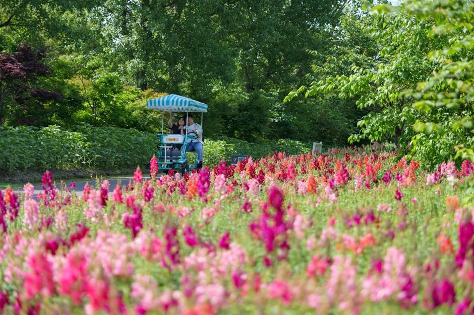 美!又一座唯美奇幻花園即將上線