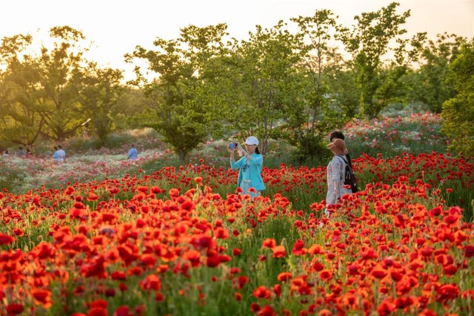 美!又一座唯美奇幻花園即將上線