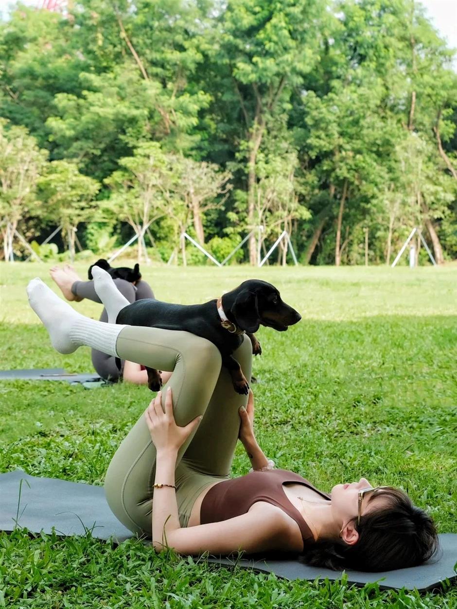 Where to take your pet this May Day holiday?
