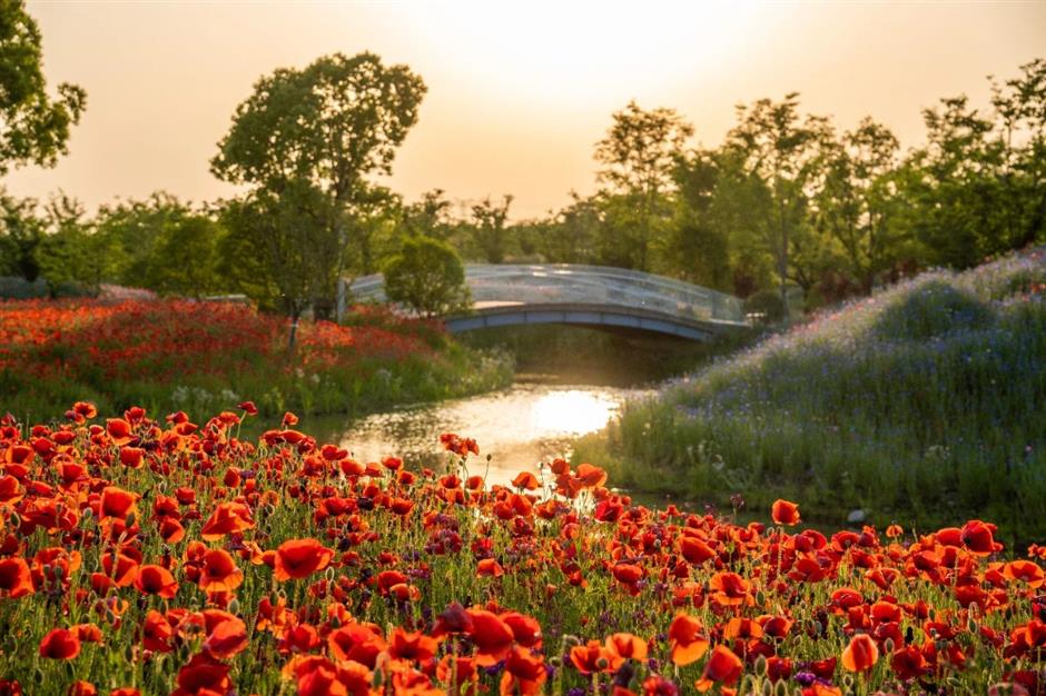 美!又一座唯美奇幻花園即將上線