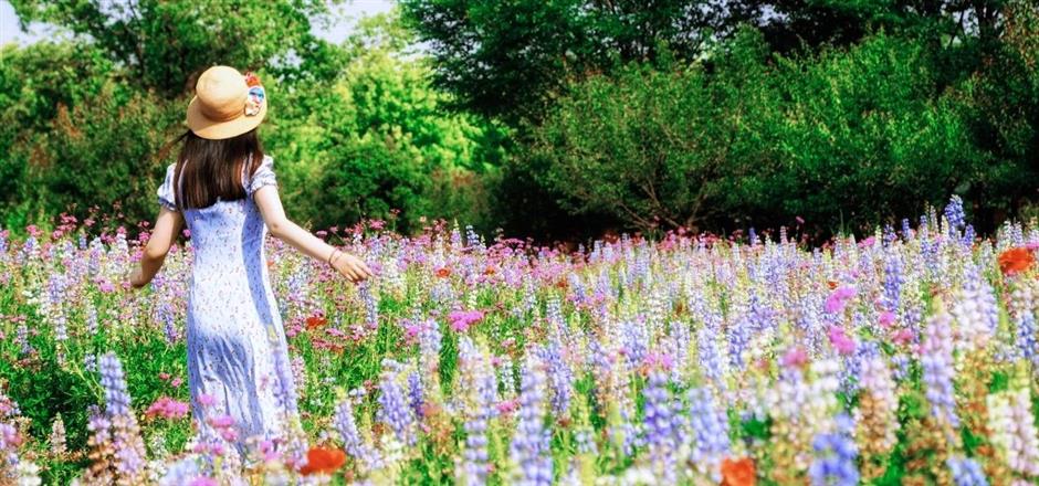 美!又一座唯美奇幻花園即將上線