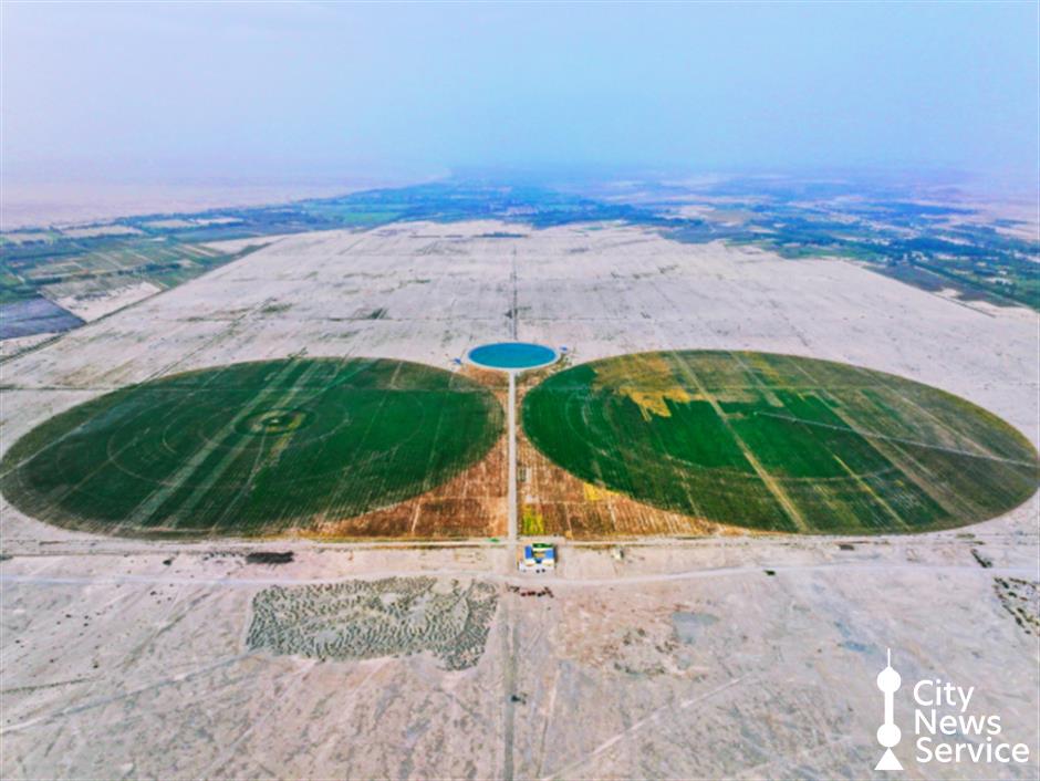 Papergames teams up with Green Technology Bank for 'miracle in the desert' project