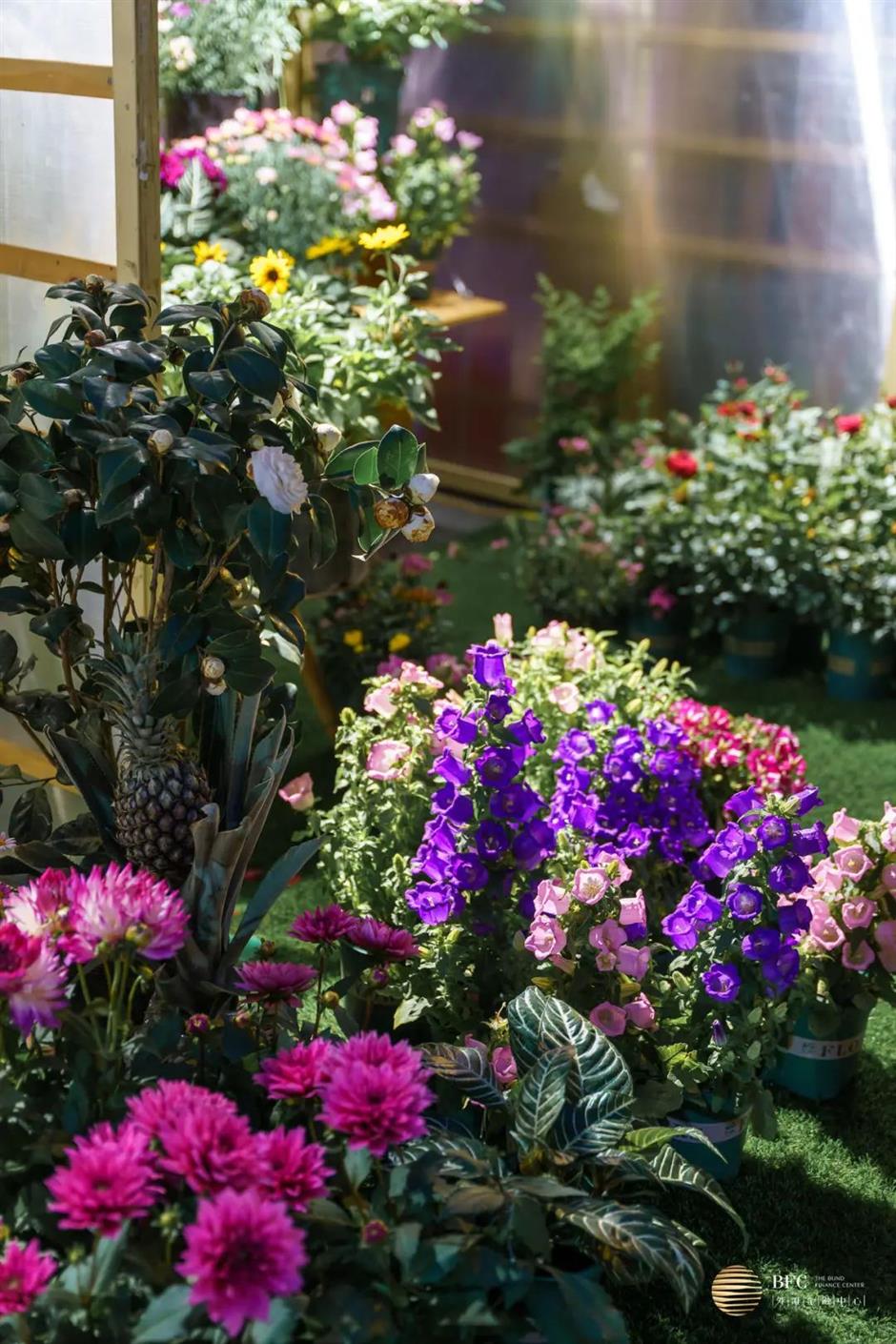 又好逛又好拍!市集,属于上海的快乐盲盒→