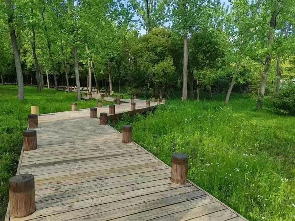 长宁区外环林带生态绿道,家门口的