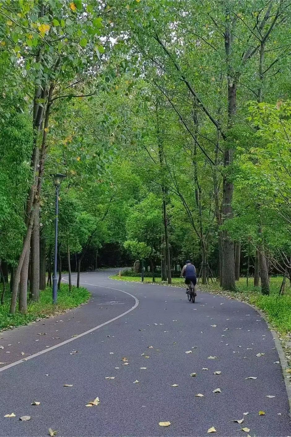长宁区外环林带生态绿道,家门口的