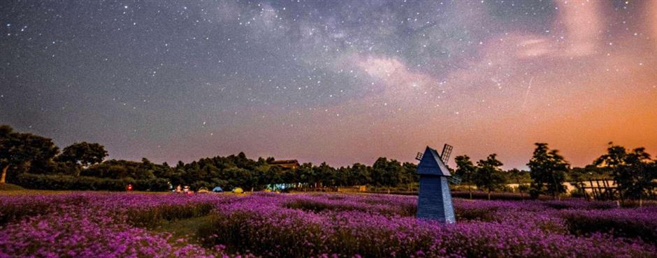 星動崇明·帶你尋光,氣象旅遊解鎖「星空經濟」新場景