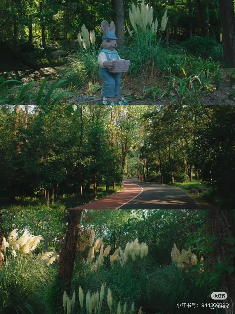 长宁区外环林带生态绿道,家门口的