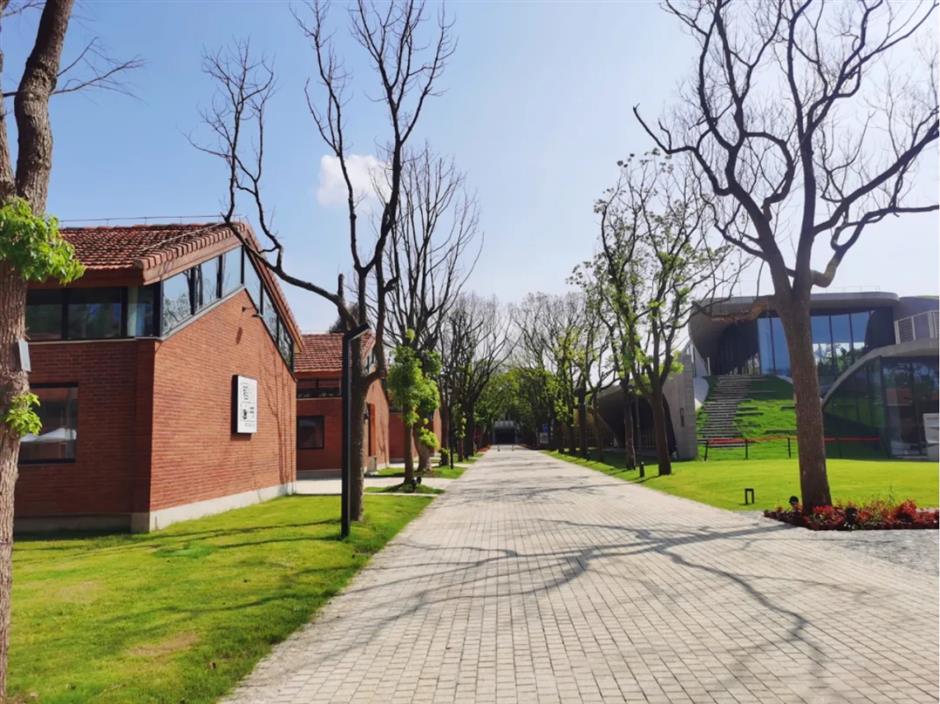 7个上榜!上海这些文旅小镇又出圈