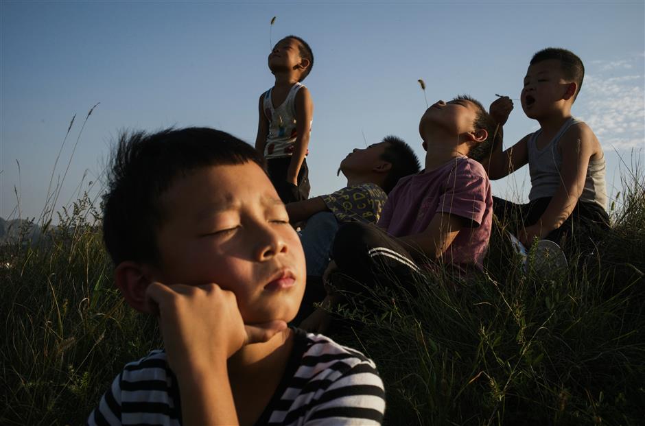 The talent and passion of photographers on show