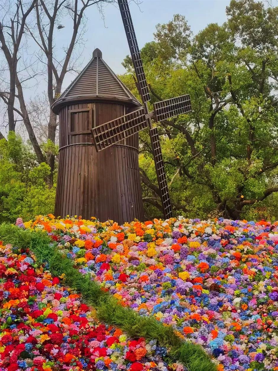 上海這些公園的百花盛宴,好像闖入油畫裡的春天 | 樂遊上海·五一