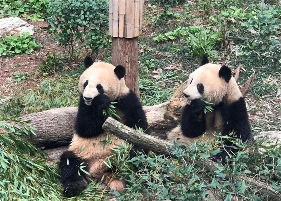 冲啊!五一动物园那么多