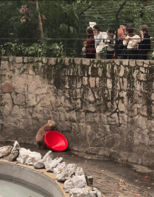 冲啊!五一动物园那么多