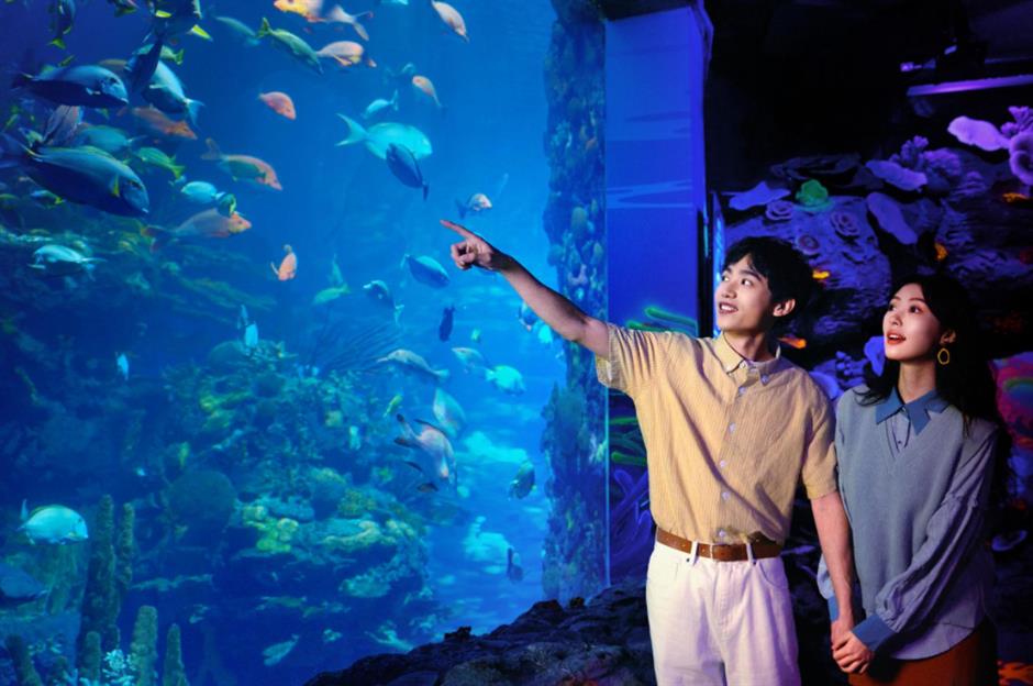 假期倒计时！N場超燃活動承包魔都狂歡 | 樂遊上海·五一