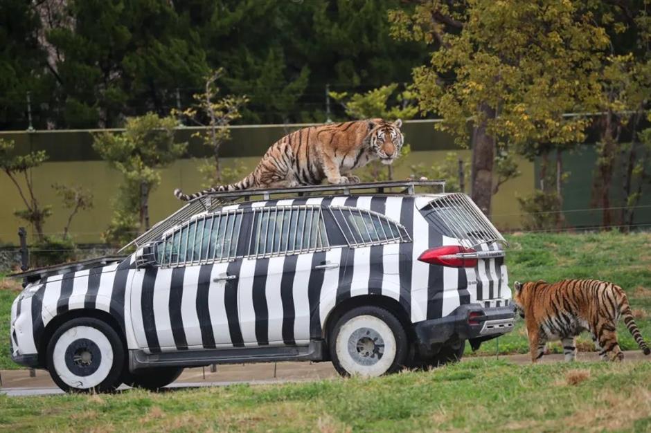 假期倒计时！N場超燃活動承包魔都狂歡 | 樂遊上海·五一