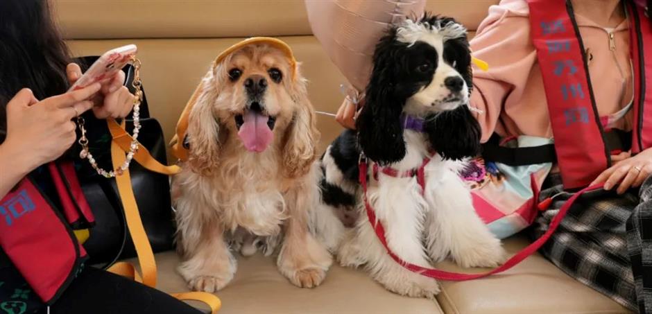 假期倒计时！N場超燃活動承包魔都狂歡 | 樂遊上海·五一