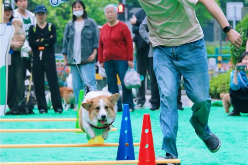 五一去哪玩跟着旅游定制公交开启松江两日游,三日游!