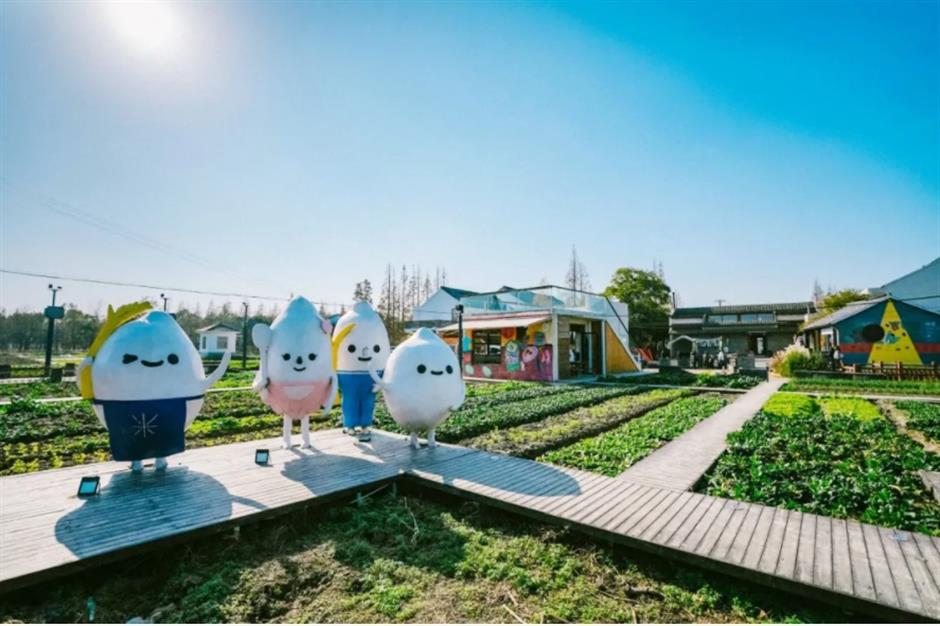 五一去哪玩跟着旅游定制公交开启松江两日游,三日游!