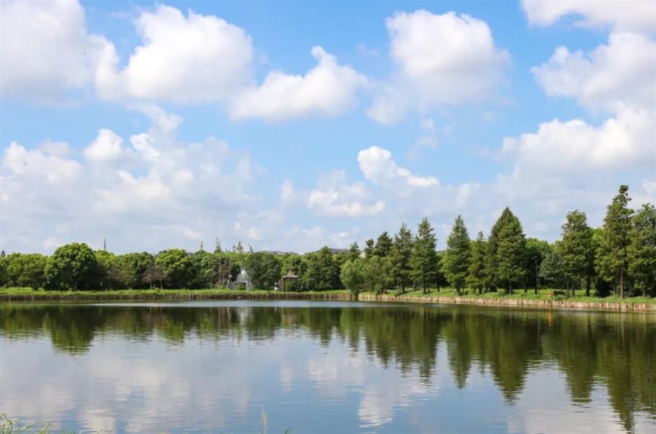 五一去哪玩跟着旅游定制公交开启松江两日游,三日游!